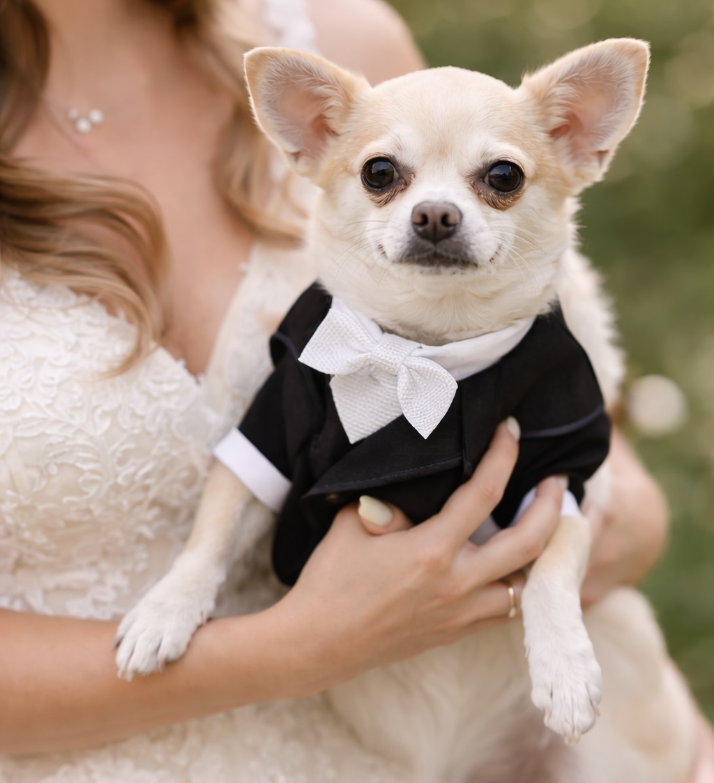 犬シッター 結婚式 横浜 渋谷 リングドッグ | Pet Sitter OASIS ペットウェディング